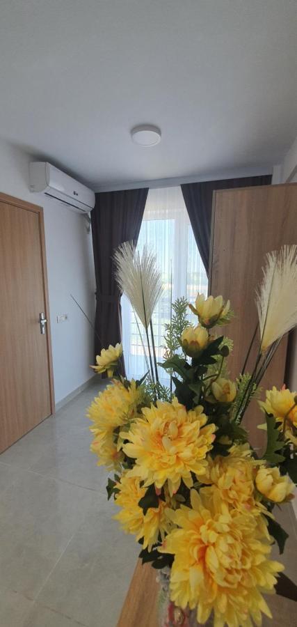 Ema Hotel Vama Veche Kültér fotó